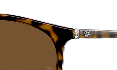 Ray Ban 54mm Polarized Round Phantos Sunglasses In Brown