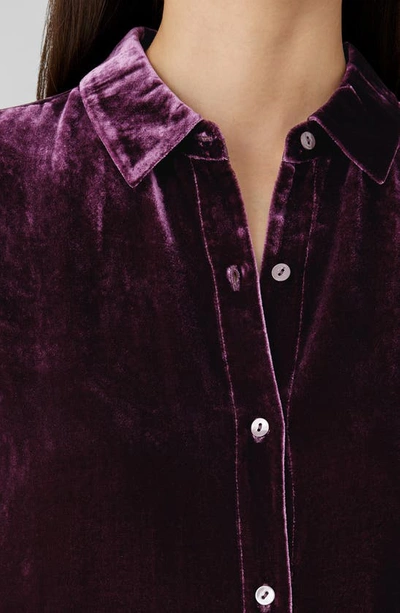 Shop Eileen Fisher Classic Collar Easy Velvet Button-up Shirt In Sweet Plum