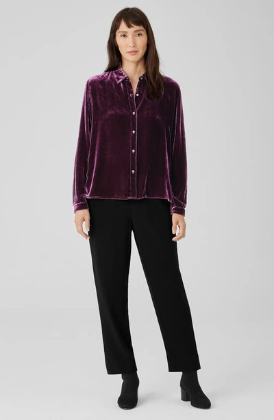 Shop Eileen Fisher Classic Collar Easy Velvet Button-up Shirt In Sweet Plum