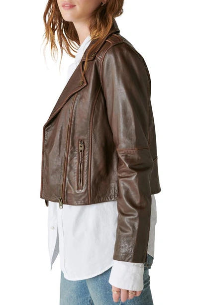 Shop Lucky Brand Leather Moto Jacket In Chestnut