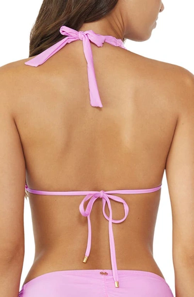 Shop Pq Swim Lace Halter Bikini Top In Iris