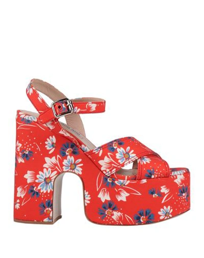 Shop Miu Miu Woman Sandals Red Size 10 Textile Fibers
