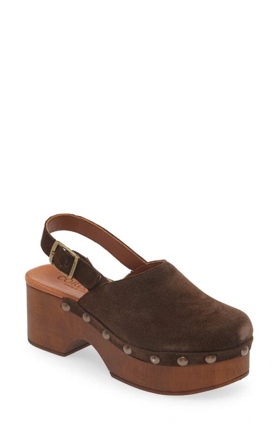 Shop Cordani Willis Platform Clog In Cacao