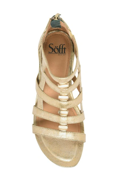 Shop Söfft Rio Ii Strappy Wedge Sandal In Gold