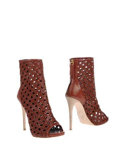 Shop Giuseppe Zanotti Design In Cocoa