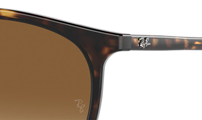 Ray Ban 51mm Gradient Phantos Sunglasses In Havana