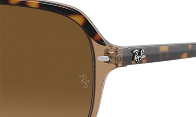 Ray Ban Bill One Sunglasses Havana On Transparent Brown Frame Brown Lenses Polarized 57-16 In Havana