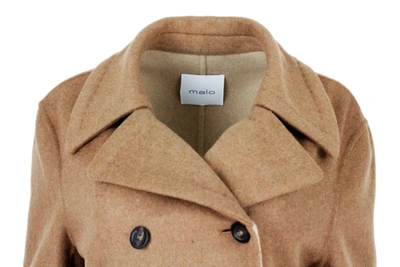 Shop Malo Coats In Brown