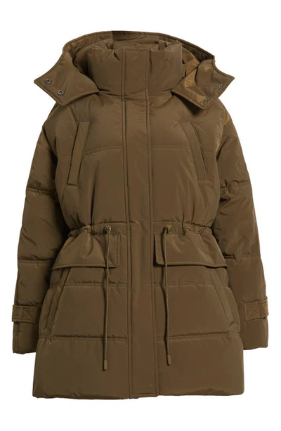 Shop Lucky Brand Hooded Short Puffer Jacket In Army