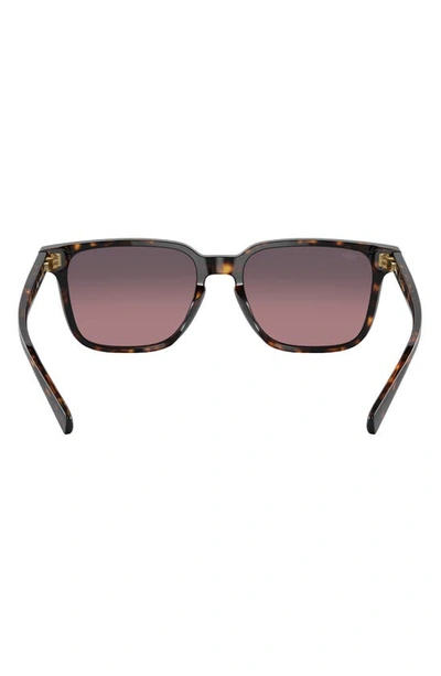 Shop Costa Del Mar Kailano 53mm Gradient Polarized Square Sunglasses In Tortoise