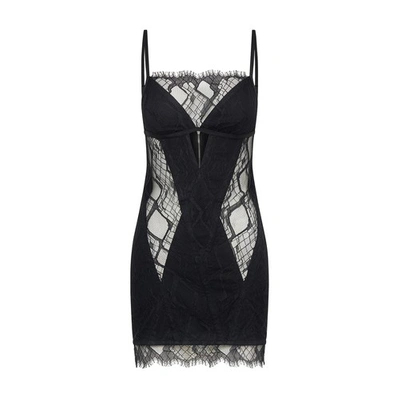 Shop Dion Lee Oblique Lace Corset Dress In Black