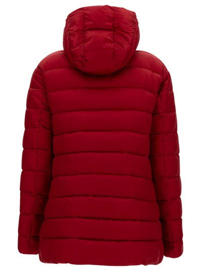 Shop Save The Duck Drimia Long Red Down Jacket With Tonal Logo Patch In Shiny Leather Woman