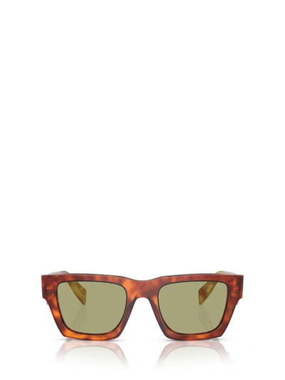 Shop Prada Eyewear Sunglasses In Cognac Tortoise