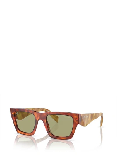 Shop Prada Eyewear Sunglasses In Cognac Tortoise