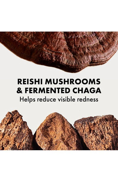 Origins Mega-mushroom Relief & Resilience Soothing Treatment Lotion, 3.4 oz