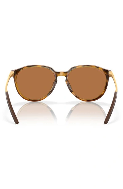 Oakley Sielo 57mm Polarized Round Sunglasses In Bronze
