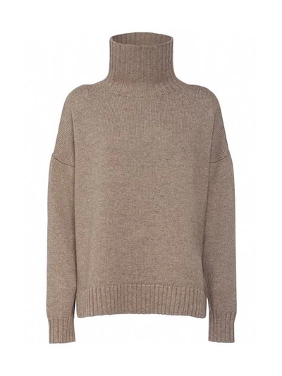 Shop Max Mara Gianna Wool And Cashmere Pullover In Cammello