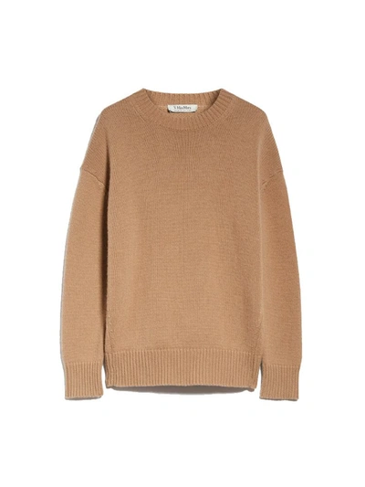 Shop Max Mara Irlanda Oversized Wool And Cashmere Sweater In Camel