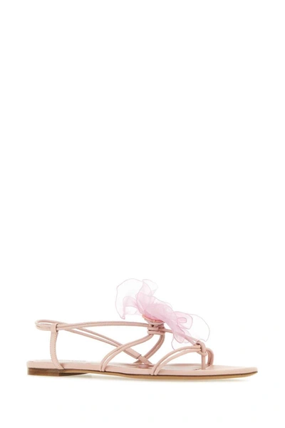 Shop Nensi Dojaka Sandals In Pink