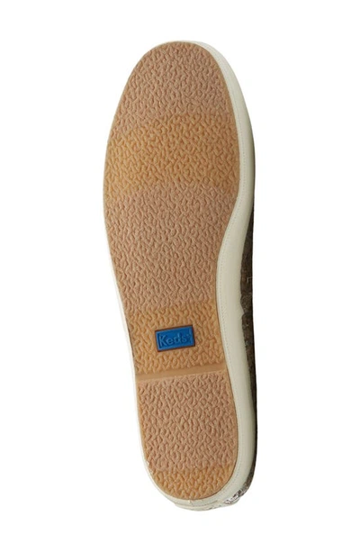 Keds Champion Glitter Celebrations Sneakers In Gold