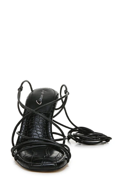 Shop Circus Ny Circus By Sam Edelman Blanche Lace-up Sandal In Black