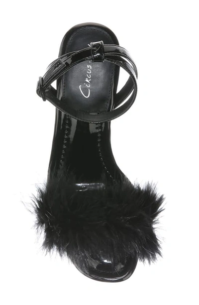 Circus Ny Brenna Feather Ankle Strap Sandal In Black