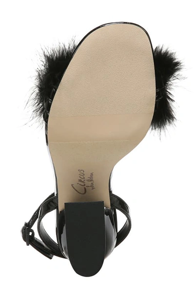Circus Ny Brenna Feather Ankle Strap Sandal In Black