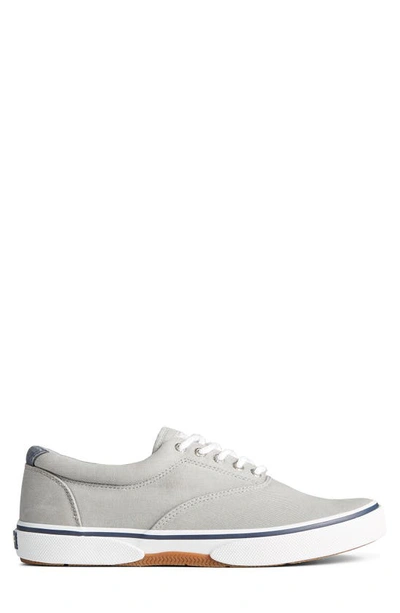 Sperry Halyard Saltwashed Low Top Sneaker In Grey