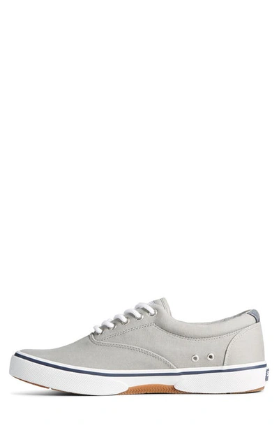 Sperry Halyard Saltwashed Low Top Sneaker In Grey