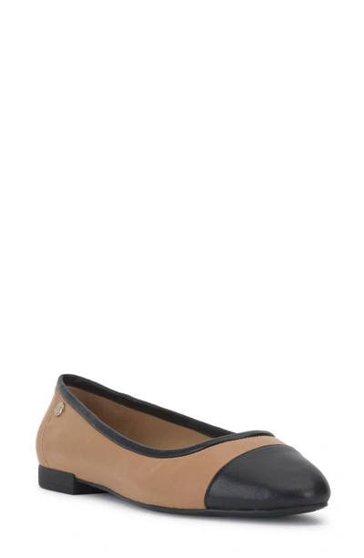 Shop Vince Camuto Minndy Flat In Sandstone