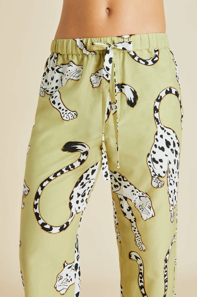 Shop Olivia Von Halle Casablanca Mungo Green Leopard Pyjamas In Cotton-silk