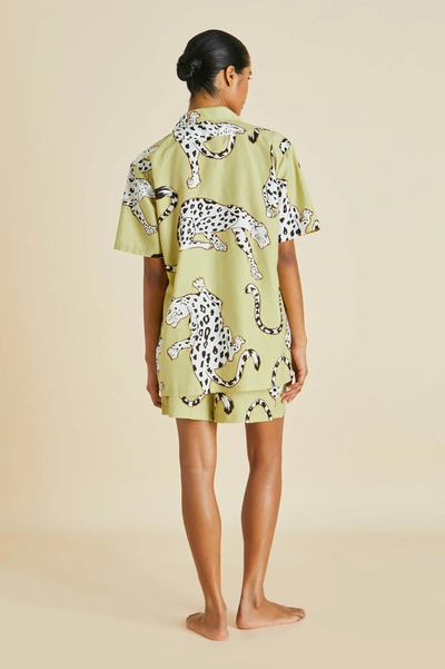 Shop Olivia Von Halle Emeli Mungo Green Leopard Pyjamas In Cotton-silk