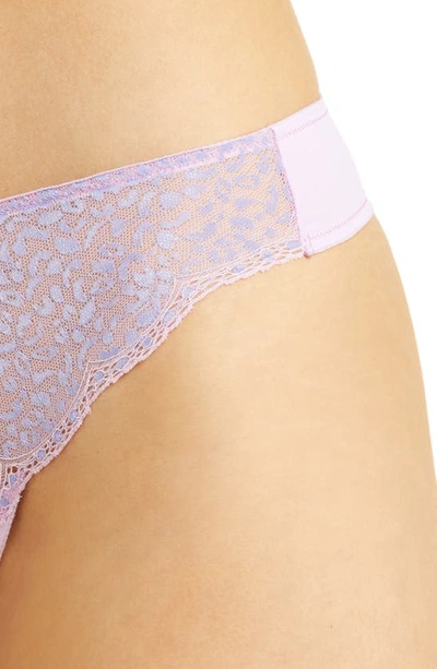 Shop Skarlett Blue Rouse Lace Thong In Thistle