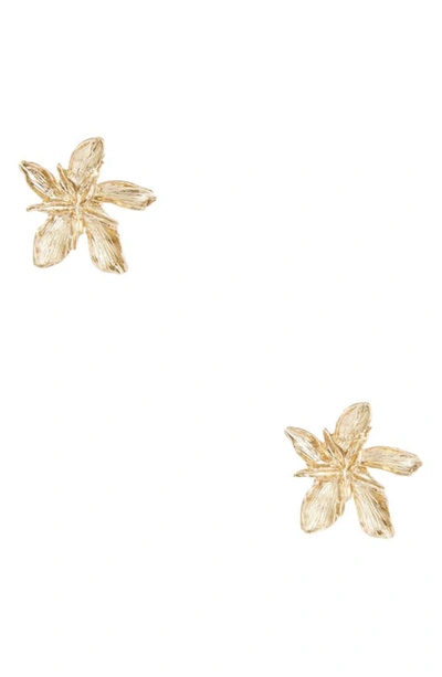 Shop 8 Other Reasons Flower Stud Earrings In Gold