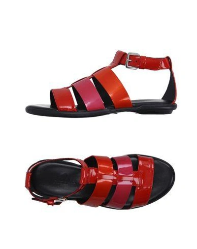 Shop Hogan Sandals In Red