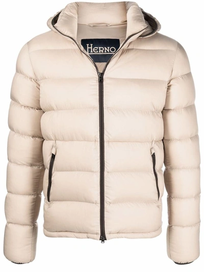 Shop Herno Hooded Short Down Jacket In Beige