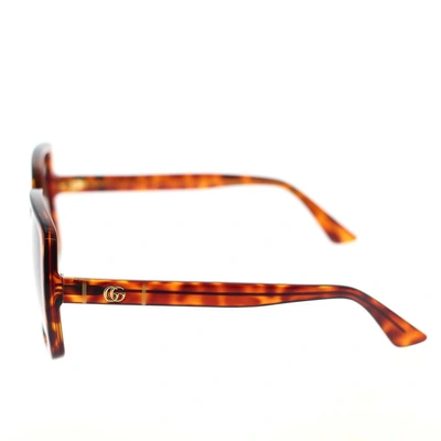 Gucci Eyewear Sunglasses In Havana