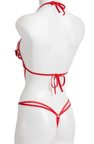 Coquette Floral Appliqué Teddy In Red