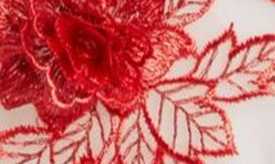 Shop Coquette Floral Appliqué Teddy In Red