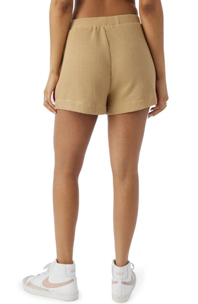 Shop O'neill Tour Waffle Knit Shorts In Khaki