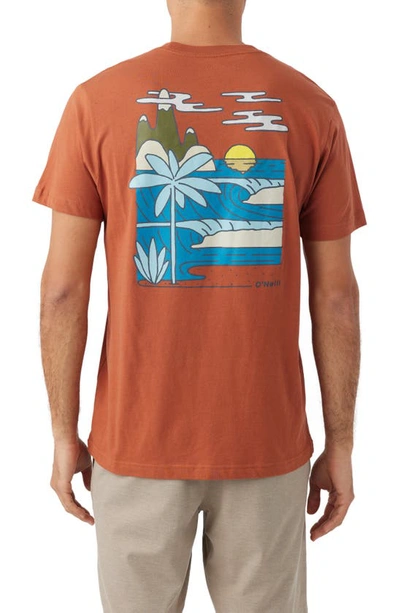 Shop O'neill Dreaming Graphic T-shirt In Clay