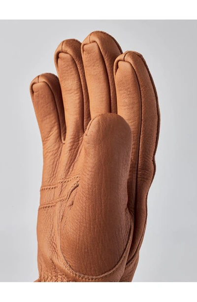 Shop Hestra Tore Deerskin Leather Gloves In Cork