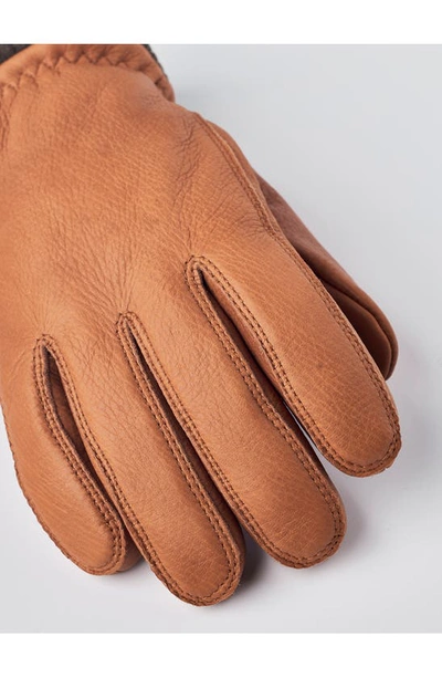 Shop Hestra Tore Deerskin Leather Gloves In Cork