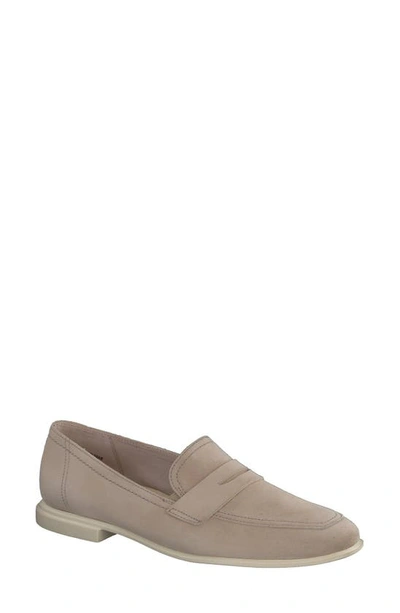 Shop Paul Green Talia Penny Loafer In Champagne Suede