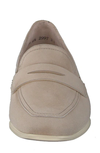 Shop Paul Green Talia Penny Loafer In Champagne Suede