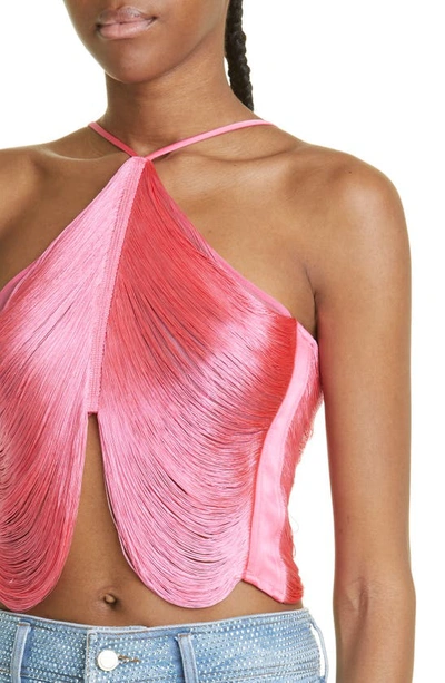 Cult Gaia Quella Metallic Fringe Halter Top In Sangria
