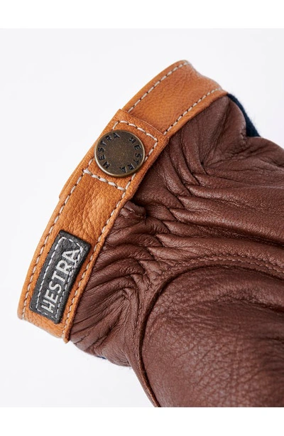 Shop Hestra Deerskin & Merino Wool Gloves In Navy/ Chocolate