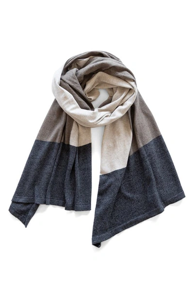 Shop Zestt Organics The Dreamsoft Travel Scarf In Brownstone Colorblock