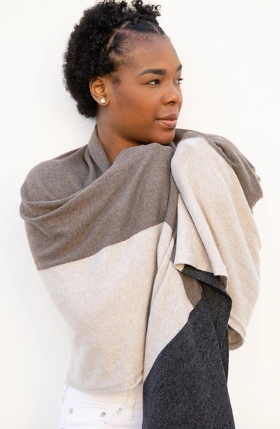 Shop Zestt Organics The Dreamsoft Travel Scarf In Brownstone Colorblock