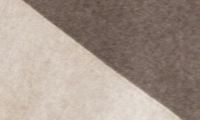 Zestt Organics The Dreamsoft Travel Scarf In Brownstone Colorblock